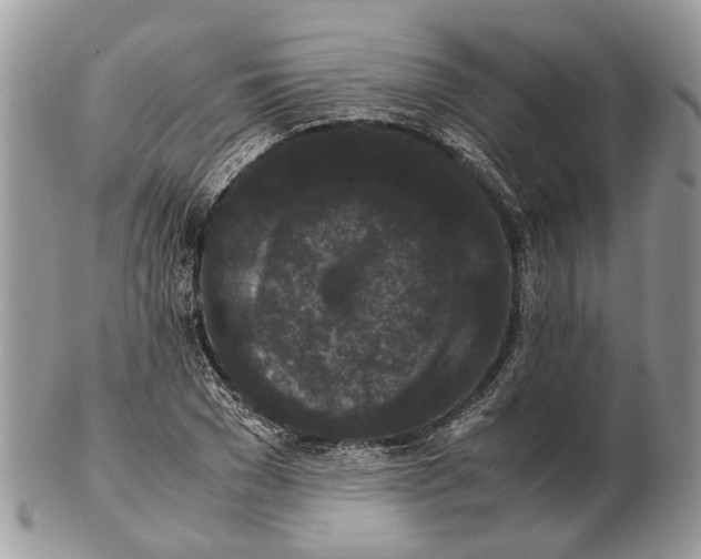 X0000102470977200809051329