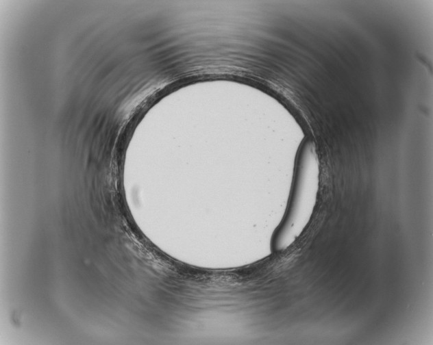X0000102470979200809051329