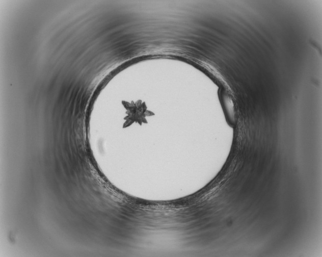 X0000102470980200809051329