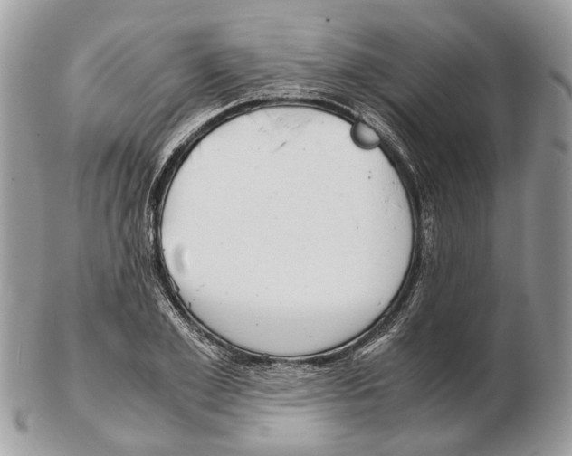 X0000102470981200809051329