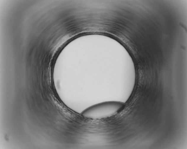 X0000102470982200809051329