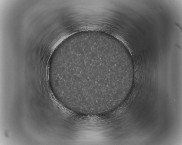 X0000102470983200809051329