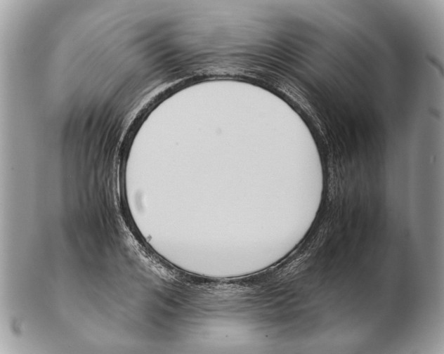 X0000102470984200809051329