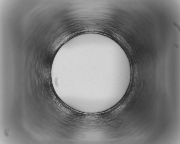 X0000102470985200809051329