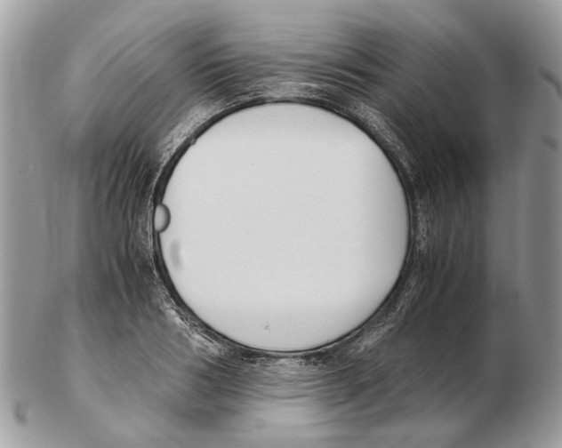 X0000102470986200809051329
