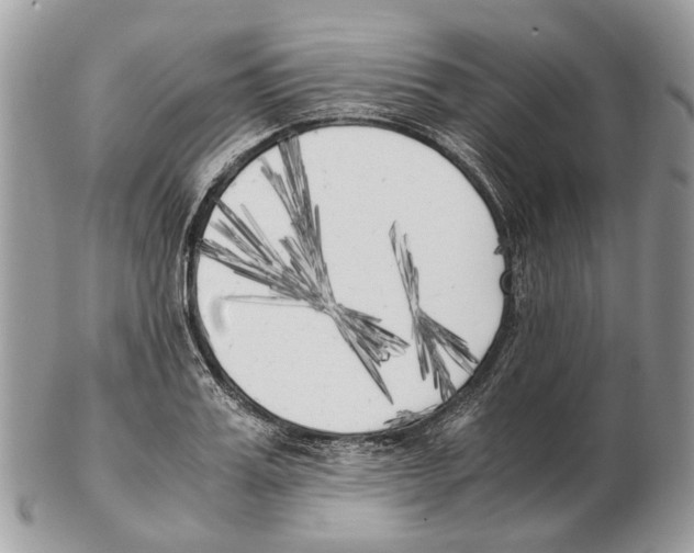 X0000102470987200809051329