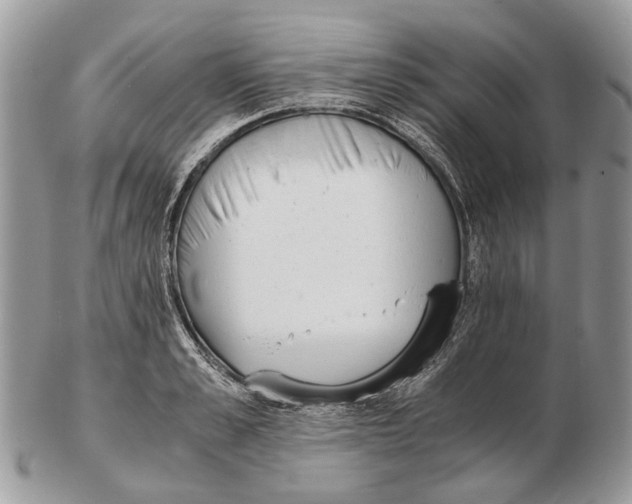 X0000102470989200809051329