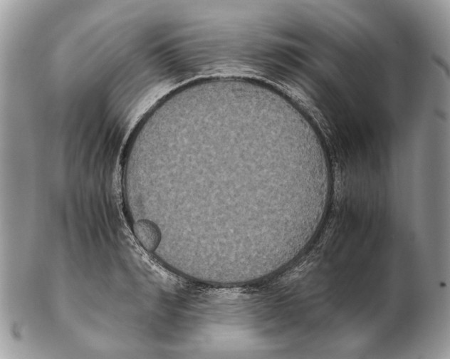 X0000102470990200809051329