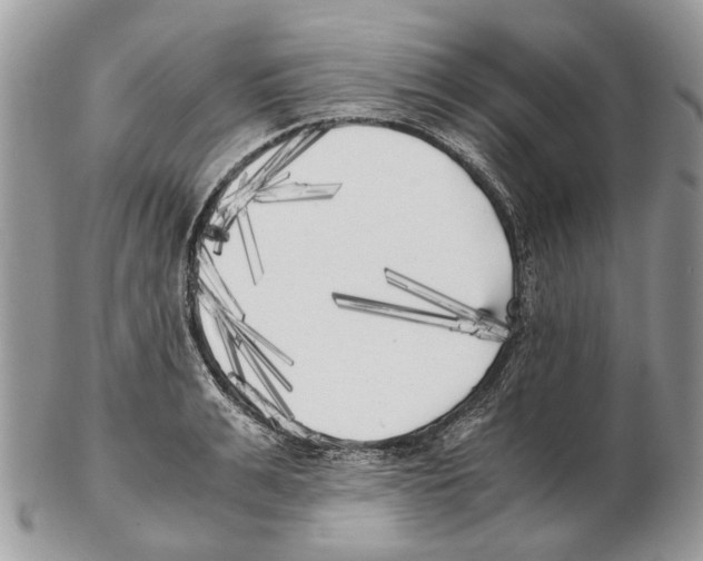 X0000102470991200809051329