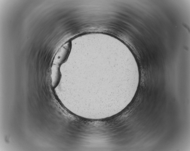 X0000102470992200809051329