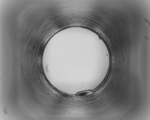 X0000102470993200809051329