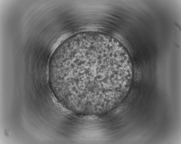 X0000102470994200809051329