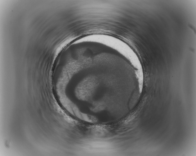 X0000102470995200809051329
