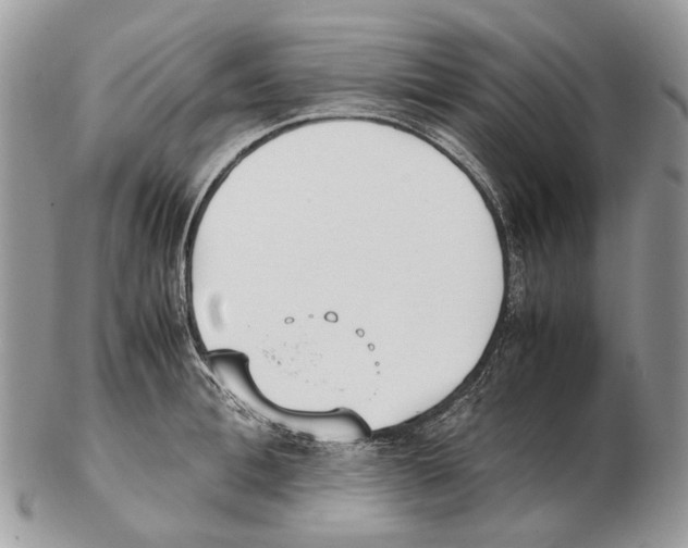 X0000102470996200809051329