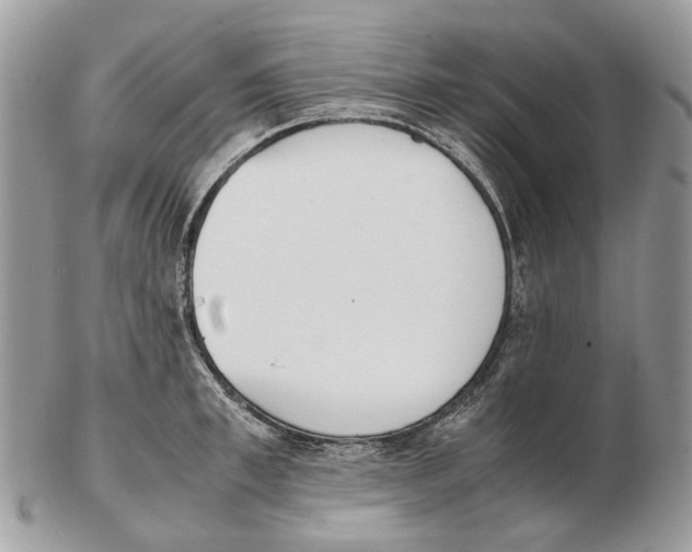 X0000102470997200809051329