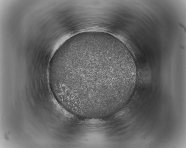 X0000102470998200809051329