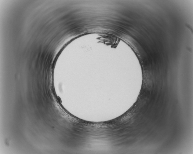 X0000102471000200809051329