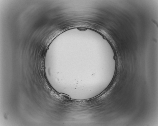 X0000102471001200809051329