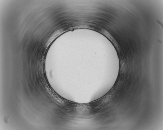 X0000102471002200809051329