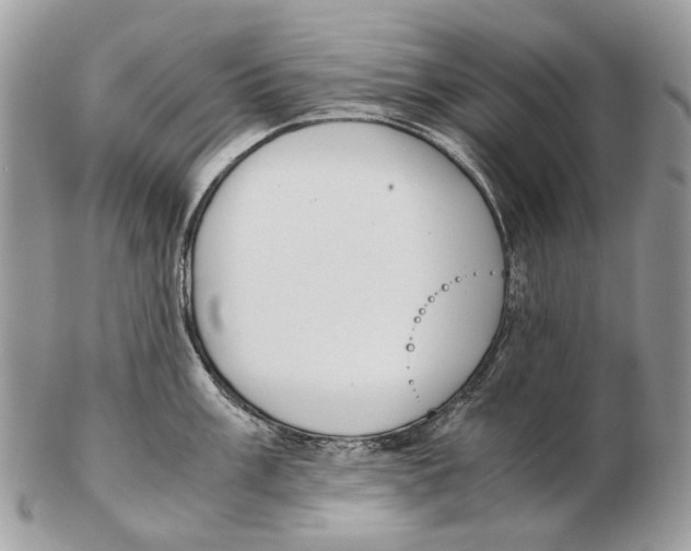 X0000102471003200809051329