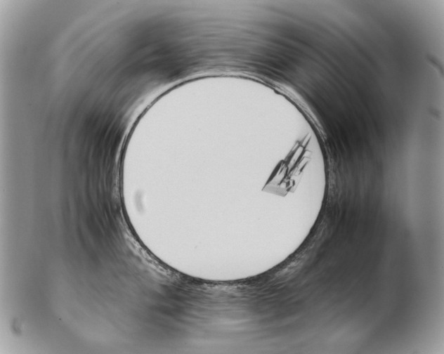 X0000102471004200809051329