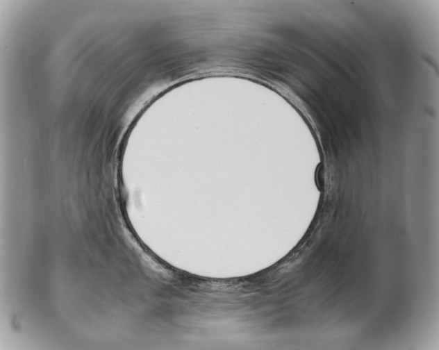 X0000102471005200809051329