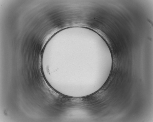 X0000102471006200809051329