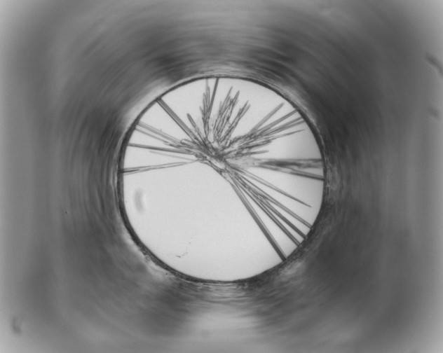 X0000102471007200809051329