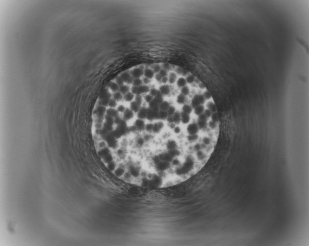 X0000102471009200809051328
