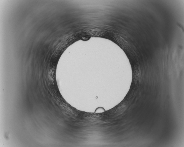 X0000102471010200809051328