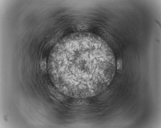 X0000102471011200809051328