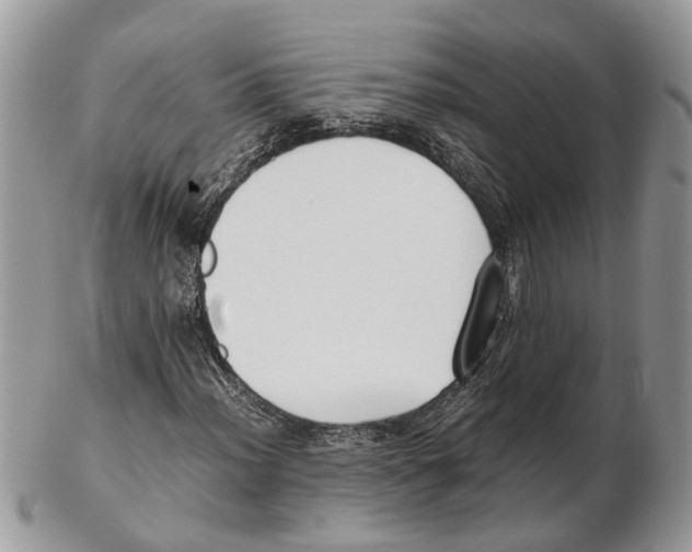 X0000102471012200809051328