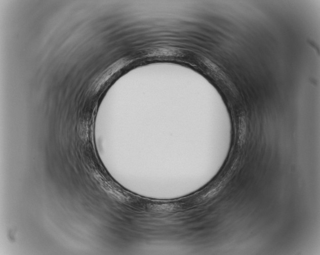 X0000102471017200809051328