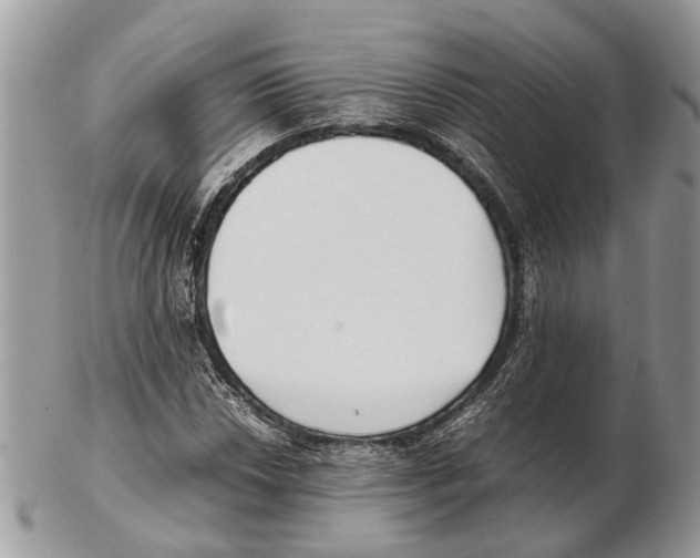 X0000102471018200809051328