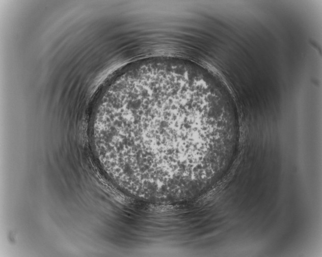 X0000102471019200809051328