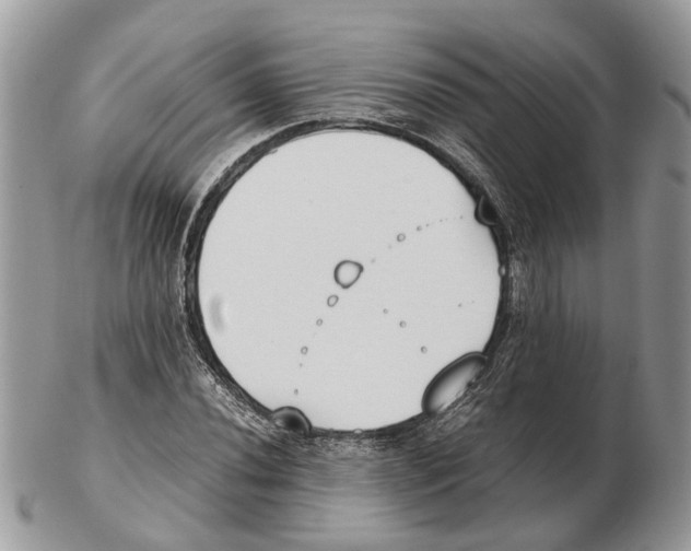 X0000102471020200809051328