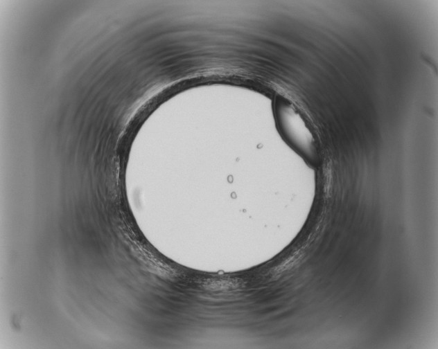 X0000102471021200809051328