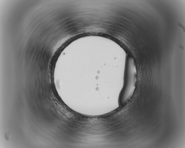 X0000102471022200809051328
