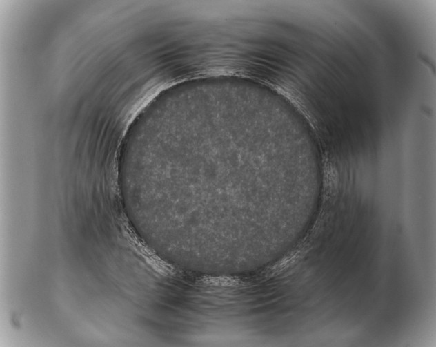 X0000102471023200809051328