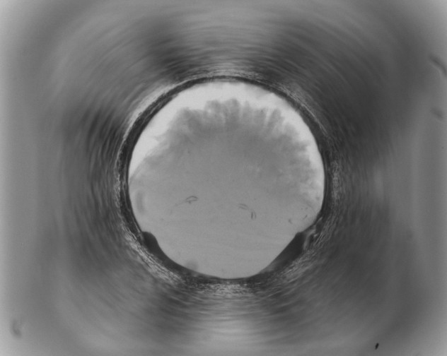 X0000102471024200809051328