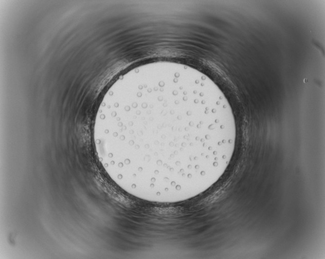 X0000102471025200809051328