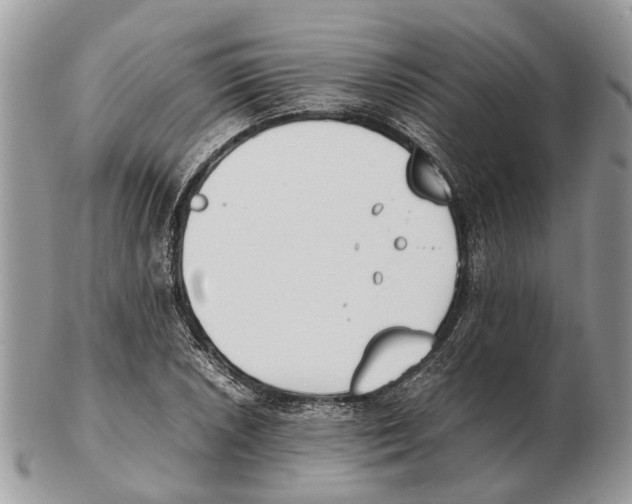 X0000102471026200809051328