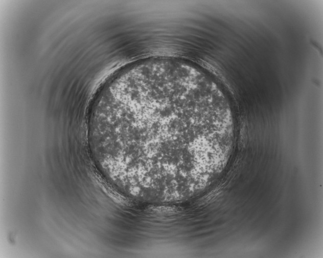 X0000102471027200809051328