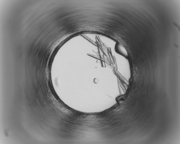 X0000102471028200809051328