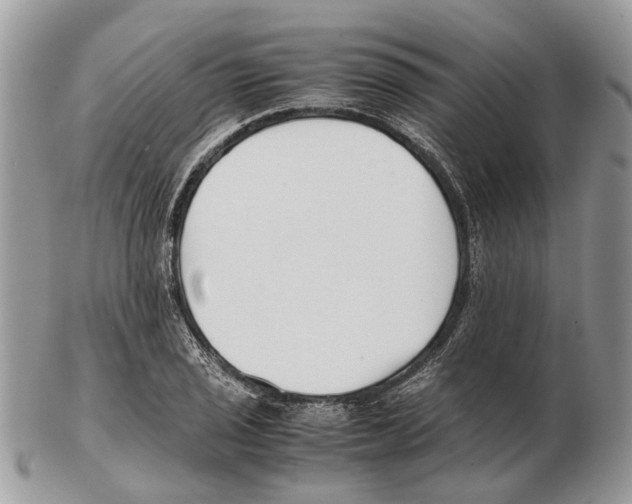 X0000102471029200809051328