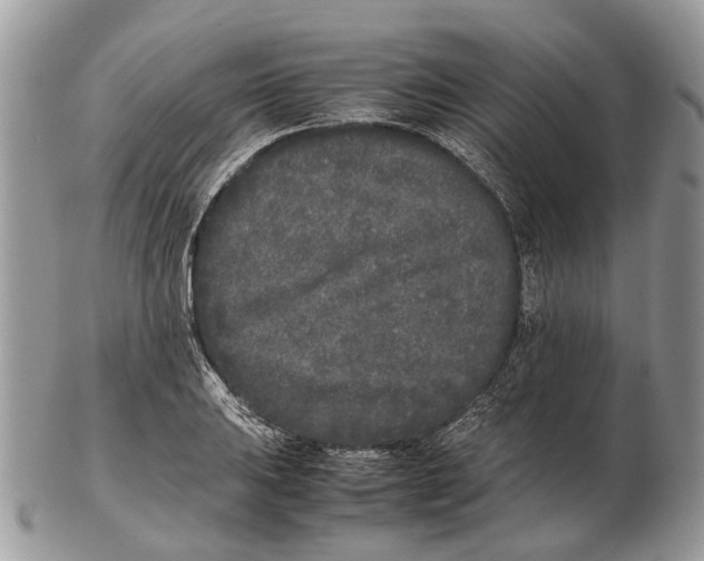 X0000102471031200809051328