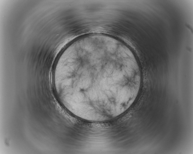 X0000102471032200809051328