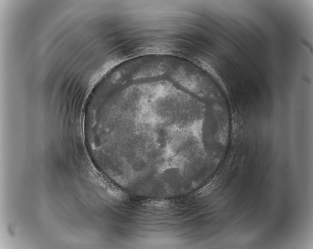 X0000102471035200809051328
