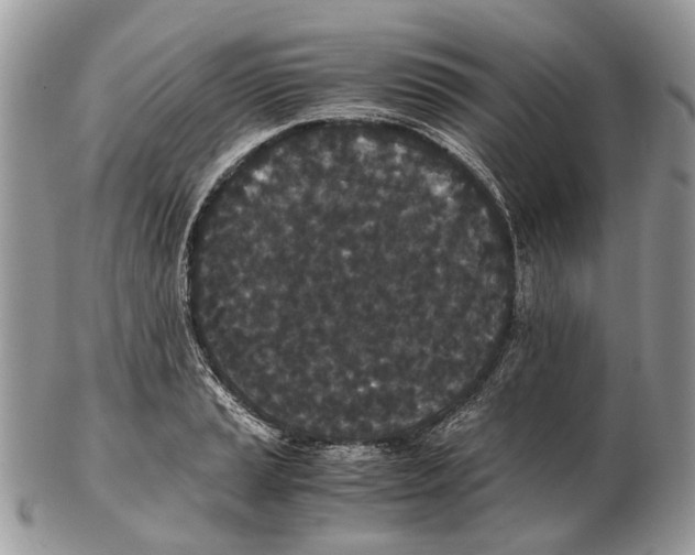 X0000102471037200809051328