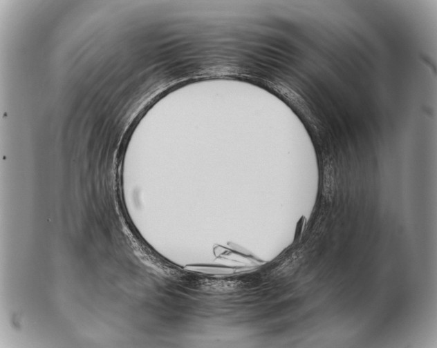 X0000102471039200809051328